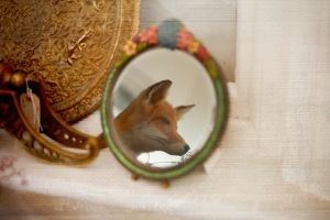 IMG_Fantastic Mr Fox with a texture